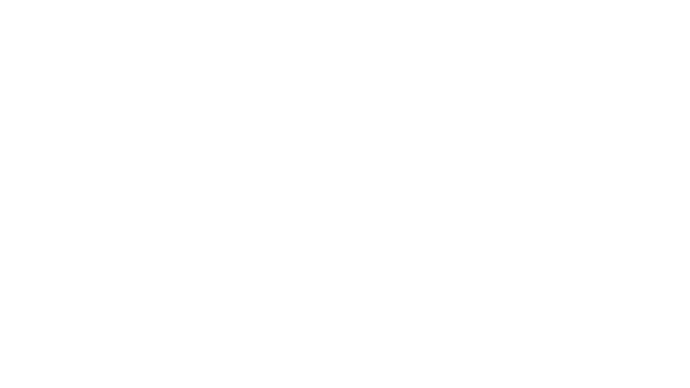 vanitis Ecosystem